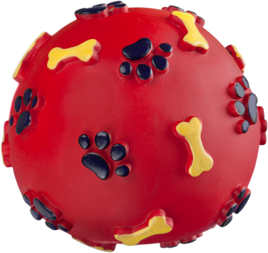Pet Toy