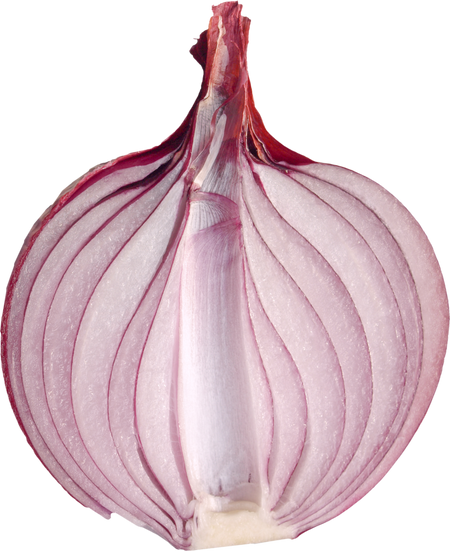 Red Onion Transparent PNG